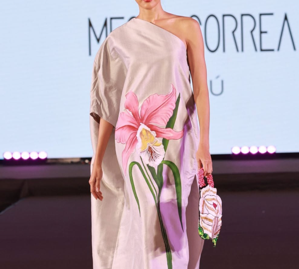 MECHE CORREA